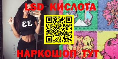 гашик Будённовск