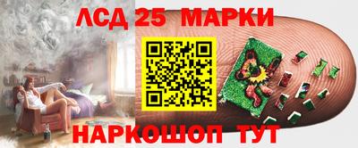 гидропоника Жуковский