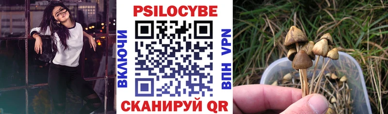 Галлюциногенные грибы Psilocybe  сколько стоит  mega зеркало  Курск 