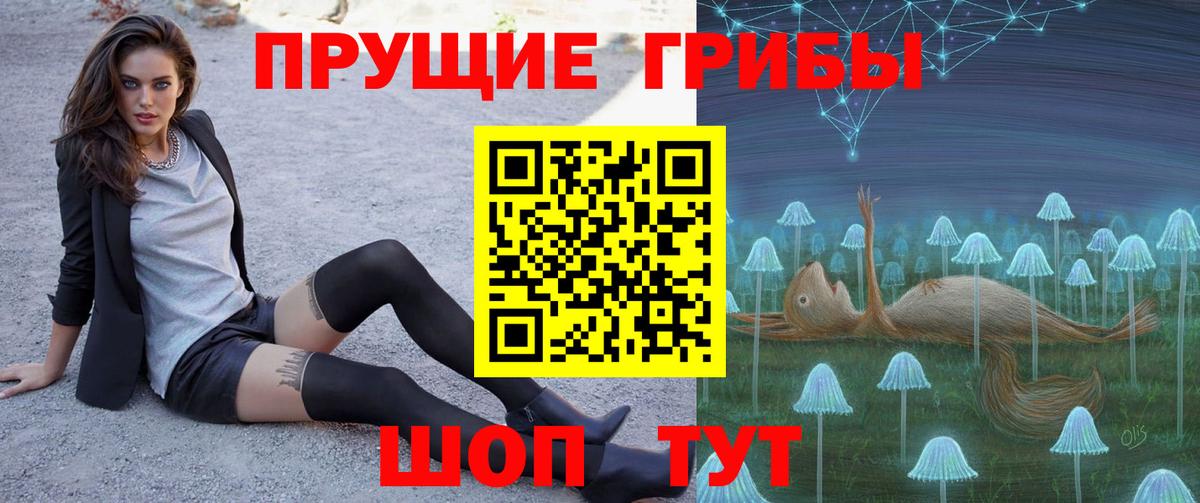 Псилоцибиновые грибы Cubensis Курск