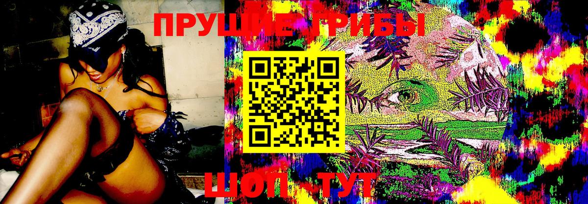 Курск  Галлюциногенные грибы мухоморы  Вход с VPN 
